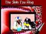 The Shih Tzu Ring