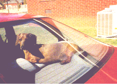 I love riding a car, even when the car is not moving