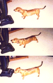 My war against vacuum cleaner